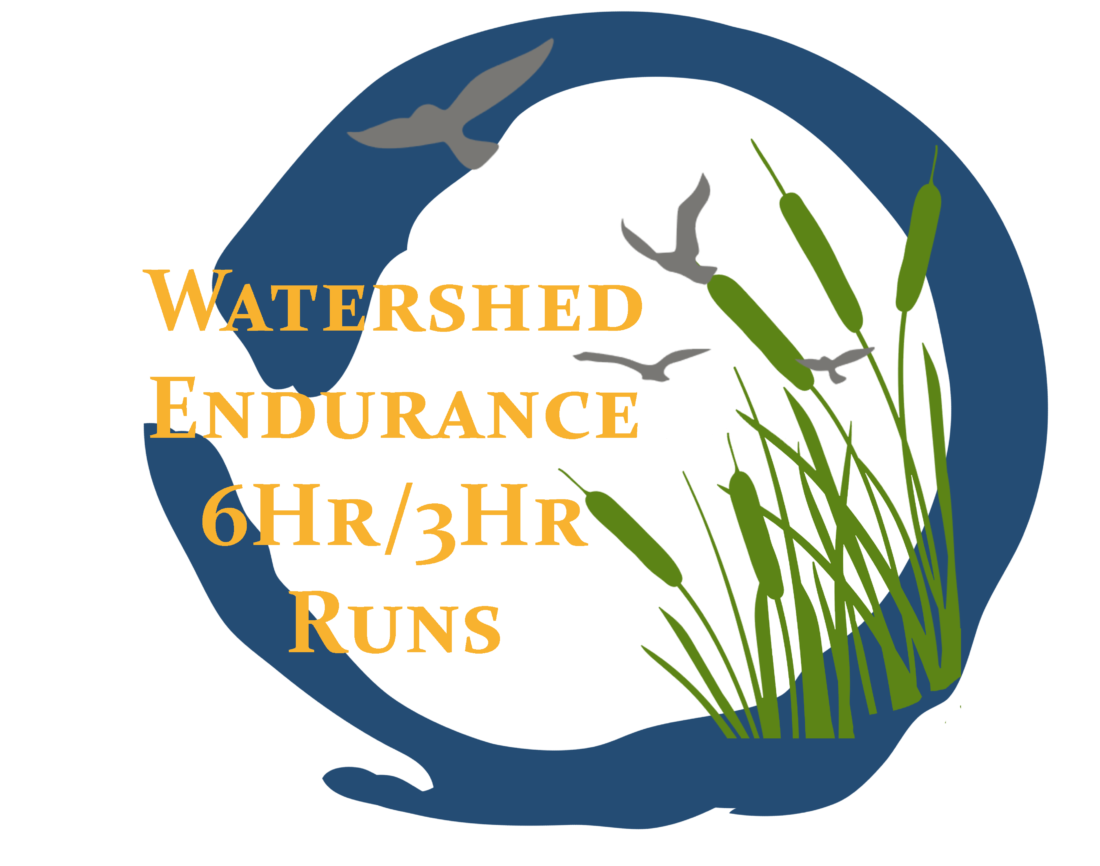 Watershed Endur Logo copy - GO! St. Louis