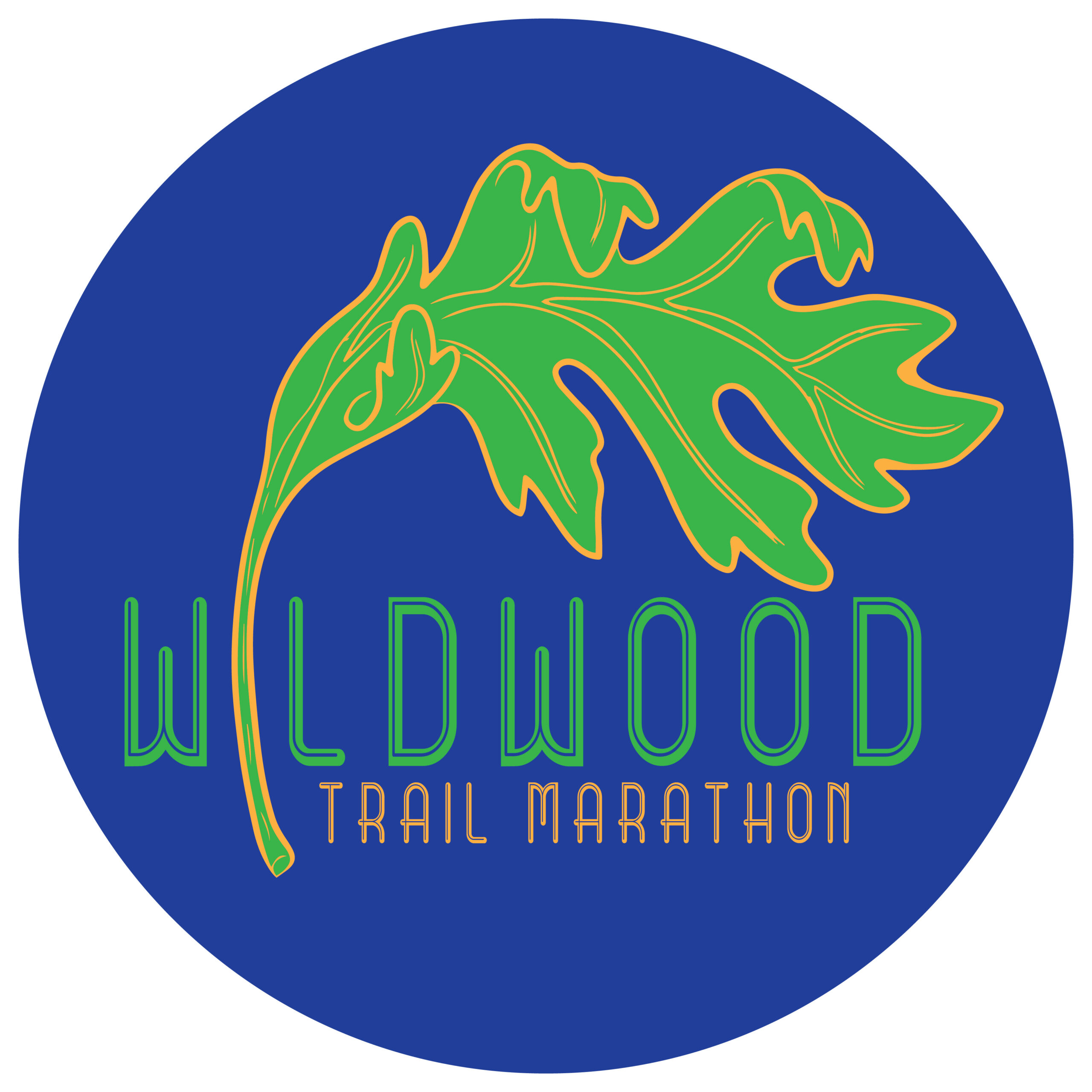 Blue circular logo featuring a stylized green dinosaur outlined in orange, with green and orange wordmark text below (likely 'Well Drilled').